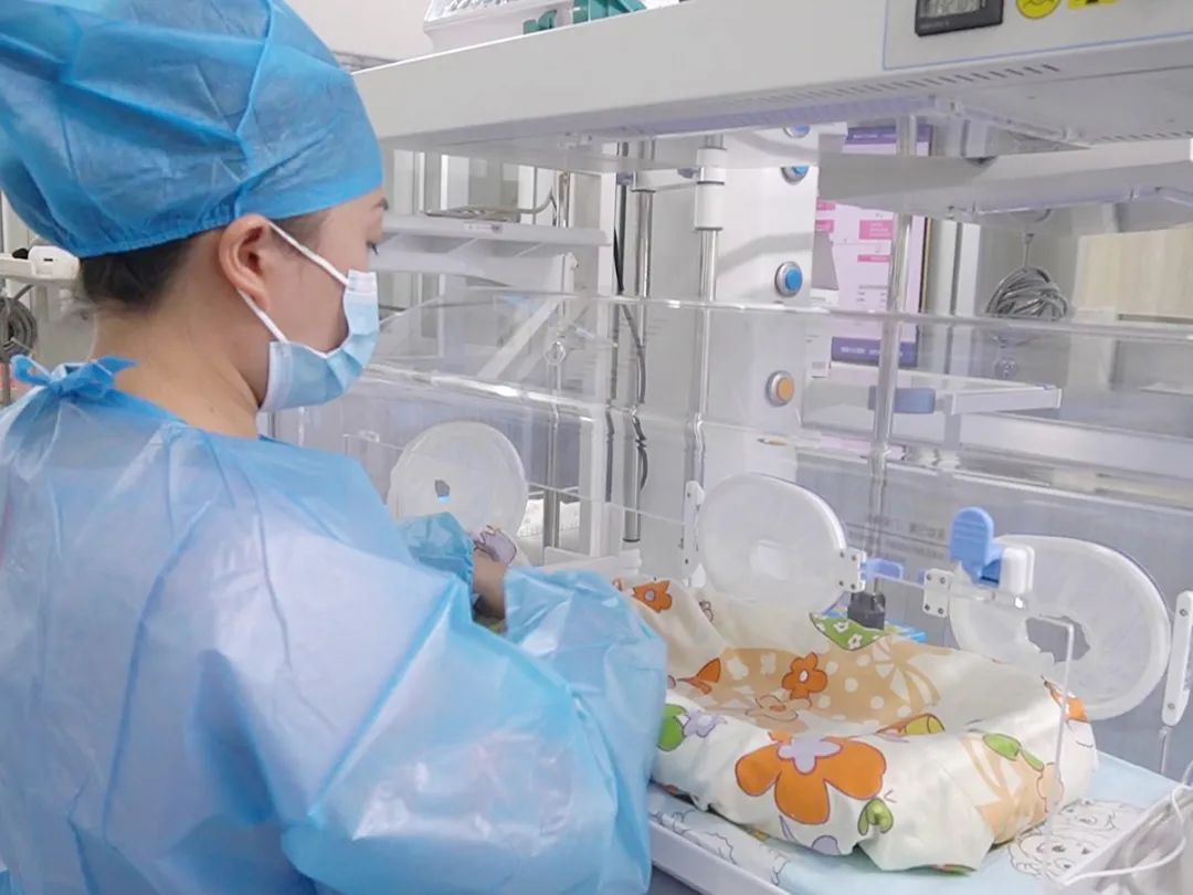 用爱筑"巢"·呵护新生——"鸟巢式"护理,给宝宝最温暖的呵护-儿科