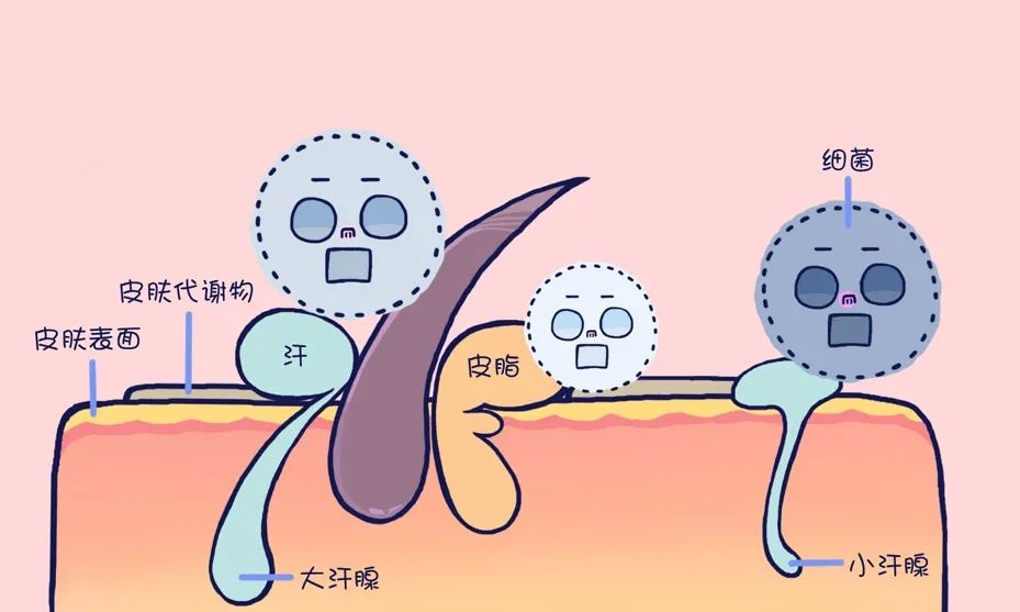 外科 | 天热前和腋臭做个了断，微创腋臭根治术