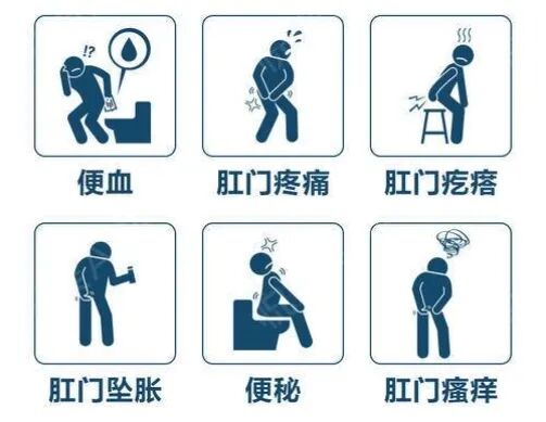 寒冬至，菊花亮“红灯”，你该如何应对？